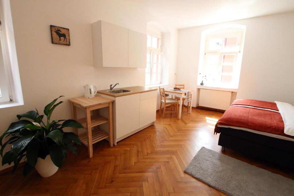 studio-ferienwohnung-mit-kingsize-bett-–-nebengebaude-1-og (4)